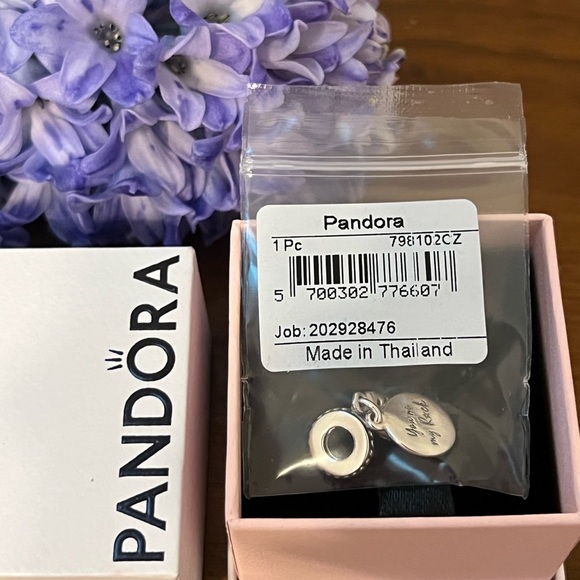 Brand NEW Authentic Pandora My Rock Dangle Charm Jewelry S925 ALE Silver - Picture 4 of 7
